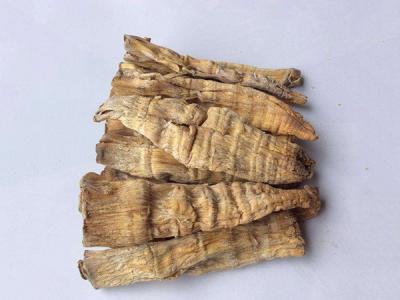 笋干